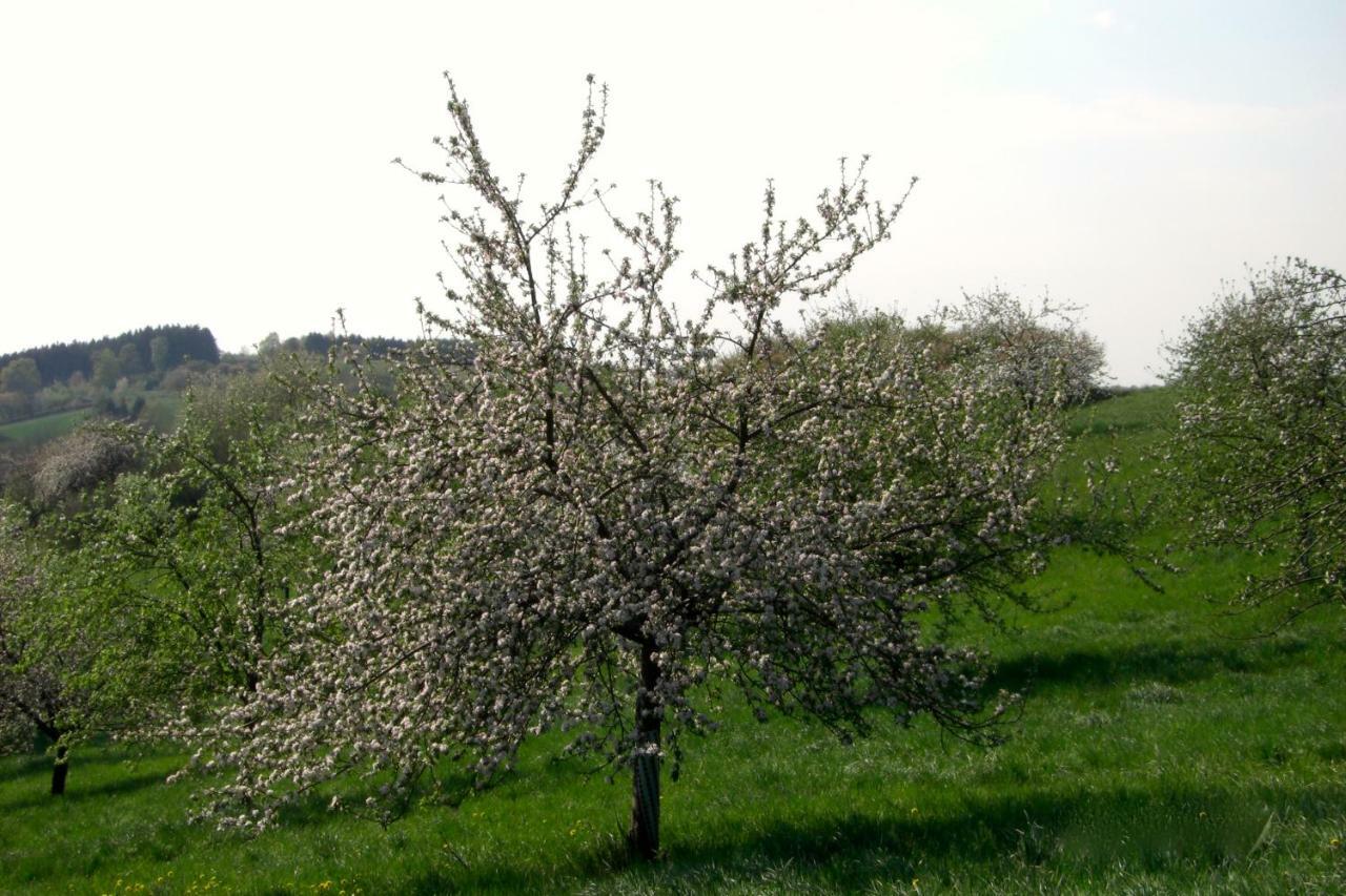 Ferienwohnung Kuhn Rhumspringe 外观 照片